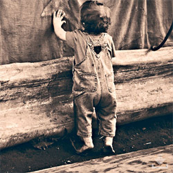 【Linux系统版】开源免费的如何攻击网站